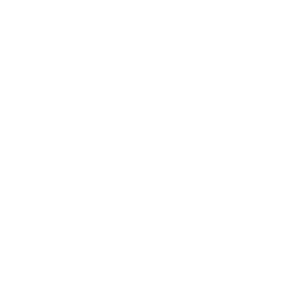 pg04_icon01